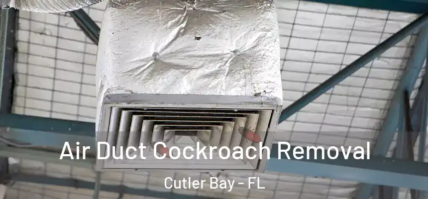 Air Duct Cockroach Removal Cutler Bay - FL