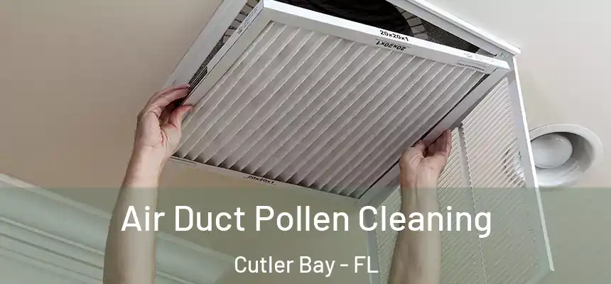Air Duct Pollen Cleaning Cutler Bay - FL