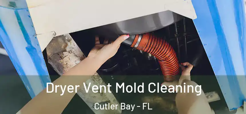 Dryer Vent Mold Cleaning Cutler Bay - FL