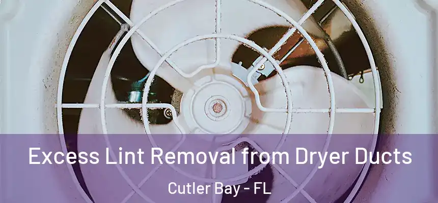 Excess Lint Removal from Dryer Ducts Cutler Bay - FL