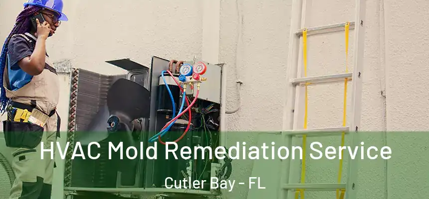 HVAC Mold Remediation Service Cutler Bay - FL