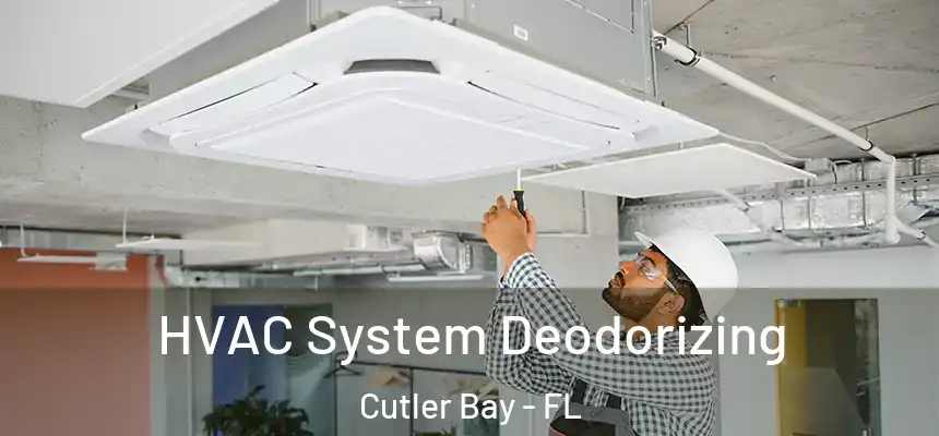 HVAC System Deodorizing Cutler Bay - FL