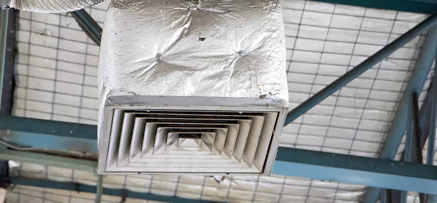 Our HVAC Mold Remediation Service Services in Cutler Bay, FL