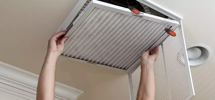 Our Insect Removal from Air Ducts Services in Cutler Bay, FL