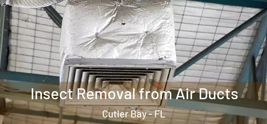 Insect Removal from Air Ducts Cutler Bay - FL