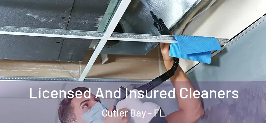 Licensed And Insured Cleaners Cutler Bay - FL