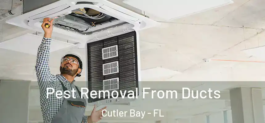 Pest Removal From Ducts Cutler Bay - FL