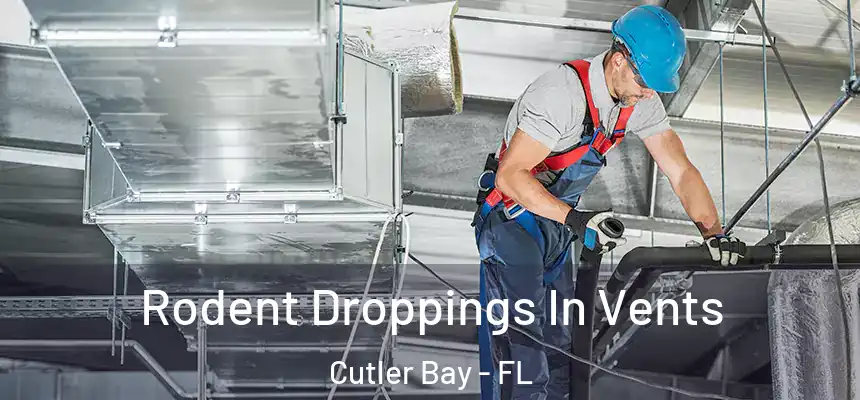 Rodent Droppings In Vents Cutler Bay - FL
