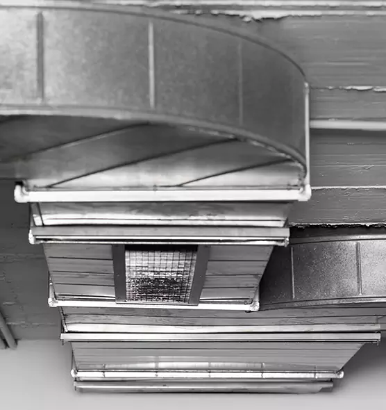 Professional Air Duct Pest Removal in Cutler Bay, FL