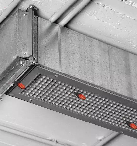 Affordable Insect Removal from Air Ducts in Cutler Bay, FL